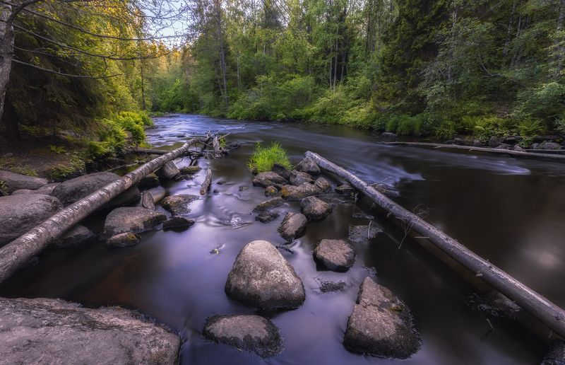 река течение камни вечер закат деревья солнце Неутомимая река фото превью