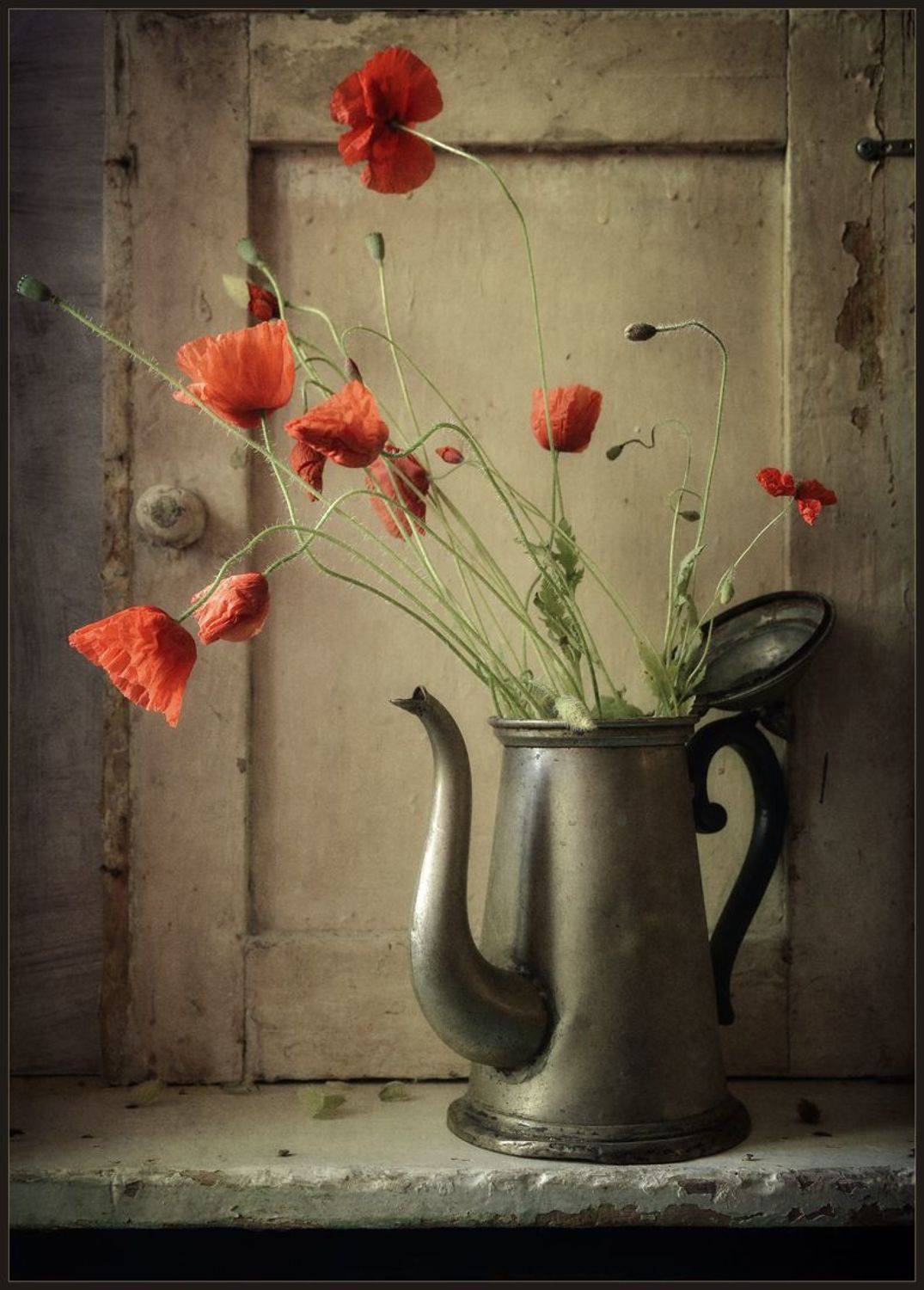 , Хромеев Александр