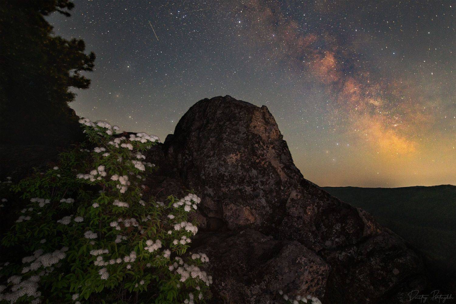лес, камни, пейзаж, ночь, природа, скалы, цветы, млечный путь, забайкальский край, чита, milkyway, night, Портных Дмитрий