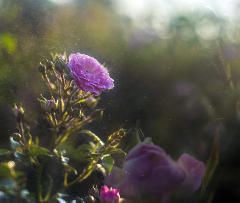 Вечер фото превью