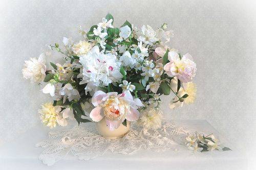 Нежность пионов