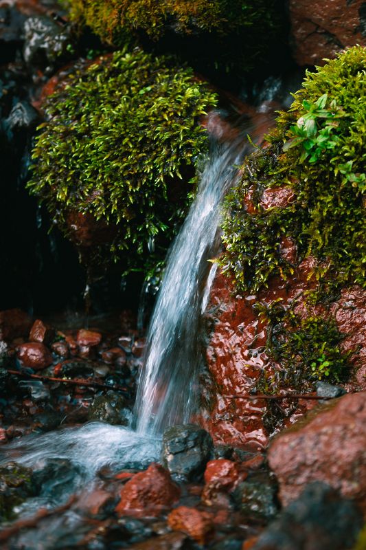 Детали горных троп фото превью