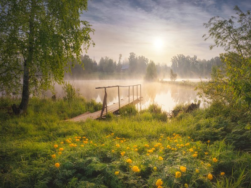 Майское утро фото превью