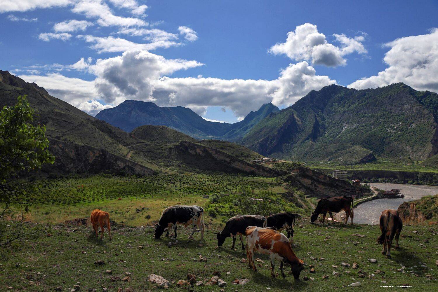 горы,пейзаж,природа,дагестан,marat_magov,, Magov Marat