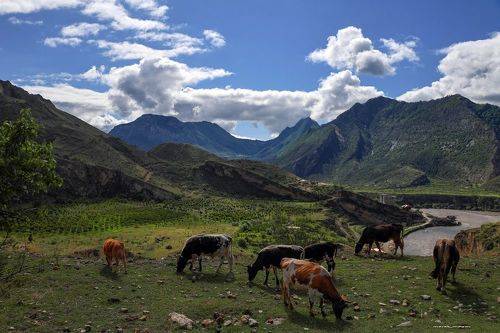 Горный Дагестан..