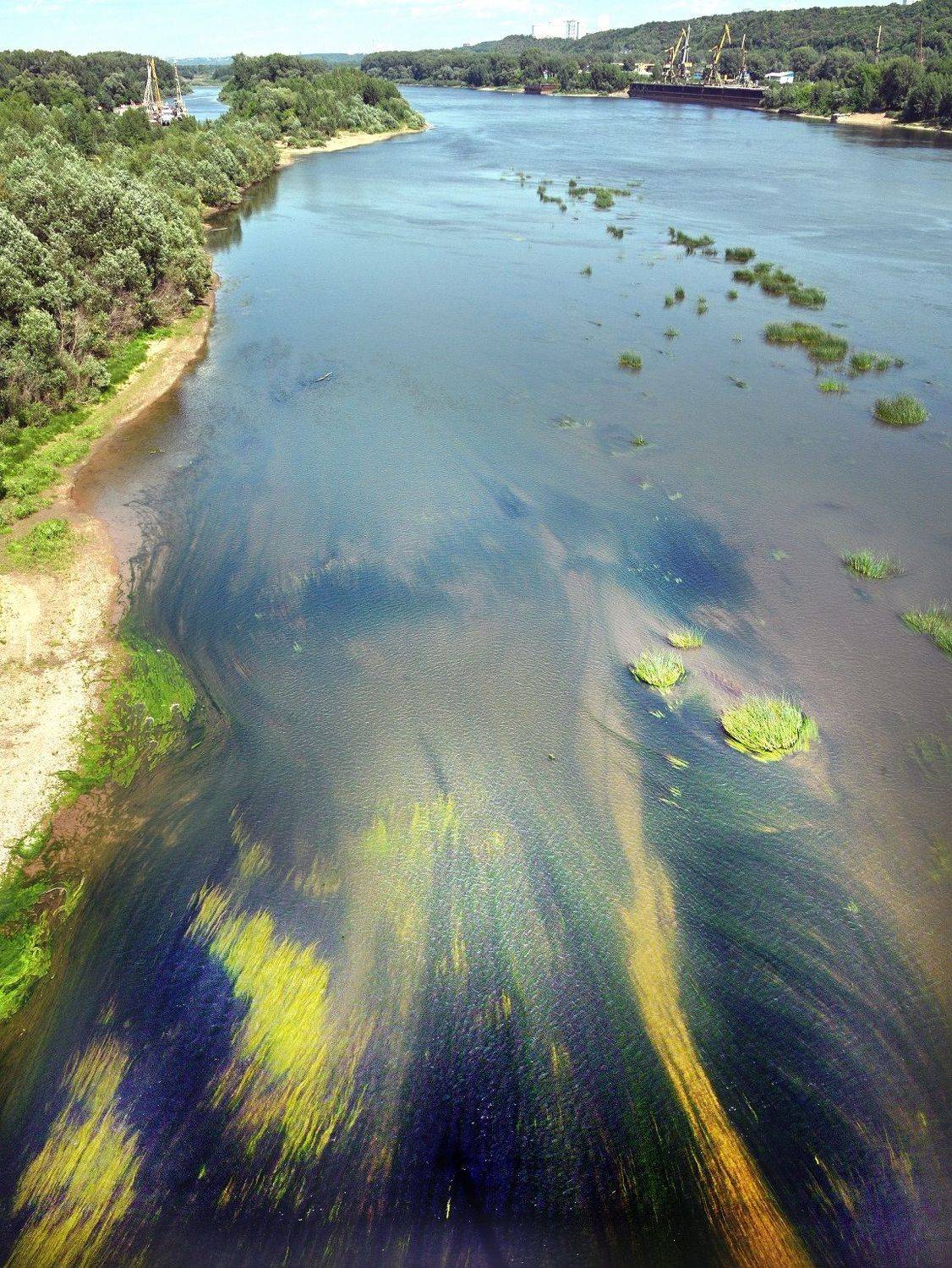 , Меднов Влад