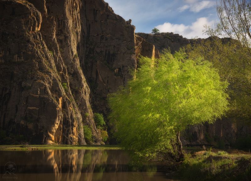 дагестан, горный дагестан, кавказ, фототур в дагестан,  деревья, озеро, горы, свет, весна, утро В утренних лучах фото превью