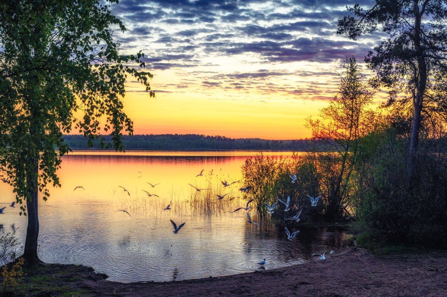 , Васильев Андрей