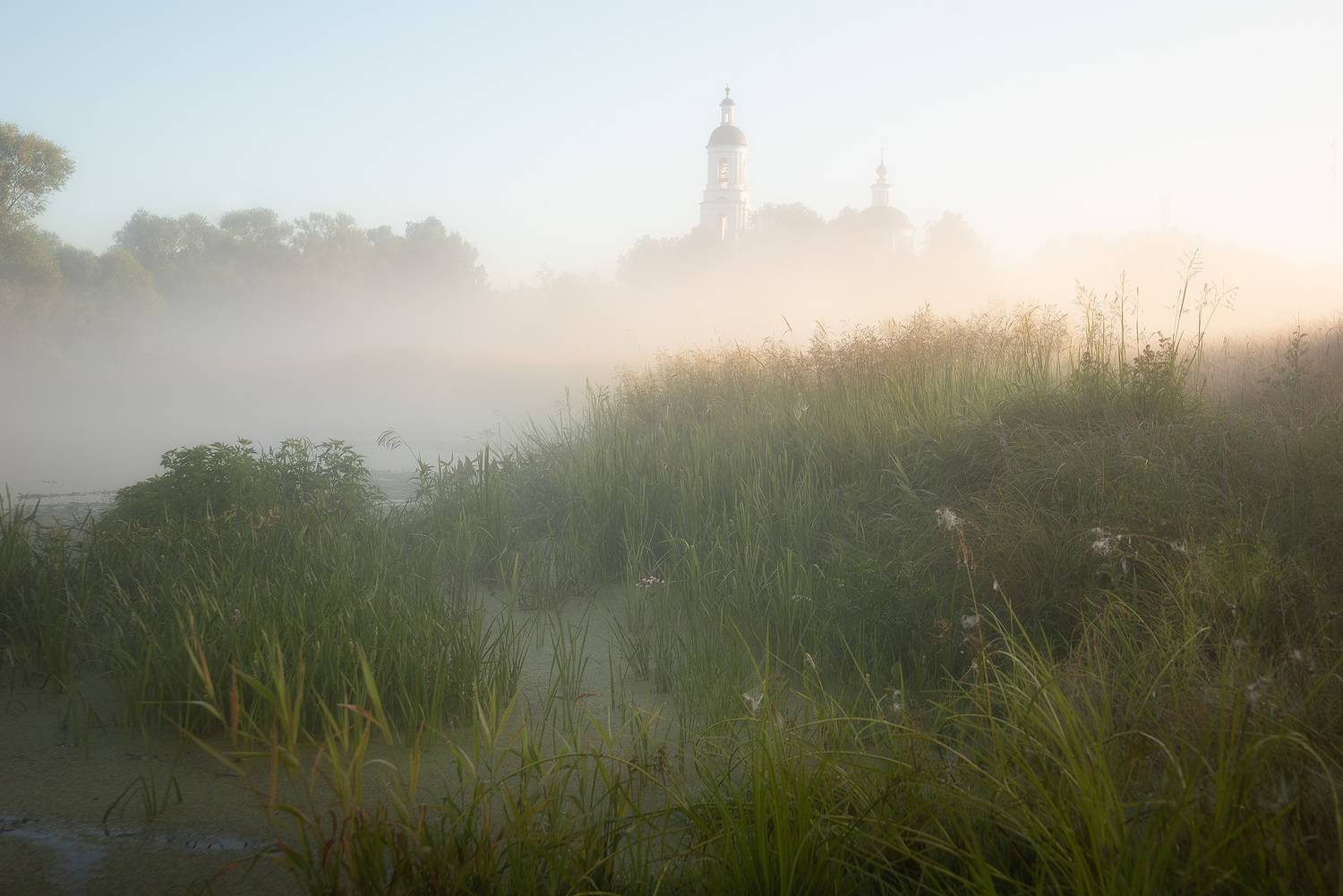 лето, рассвет, шерна, филипповское, Чавыкина Анастасия