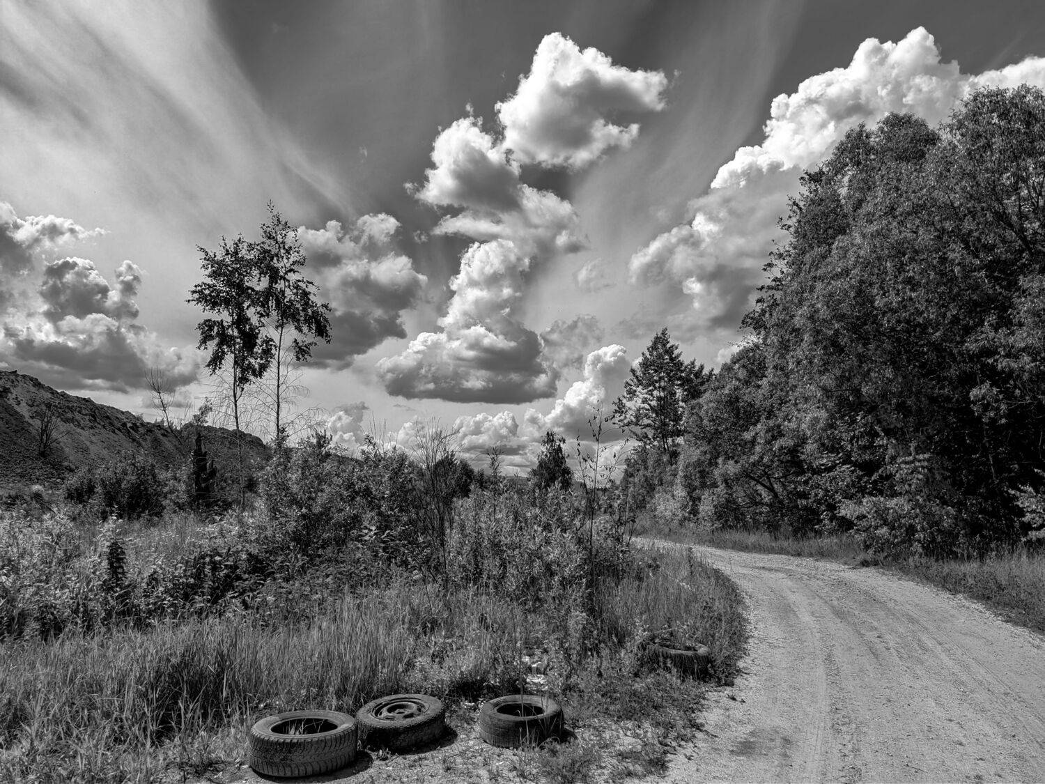 , Светлана Кондрашова