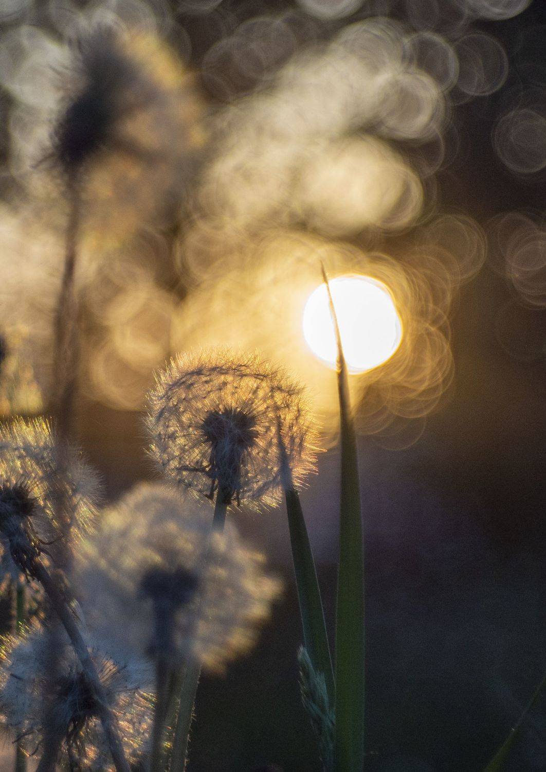 , Андрей Хаймин