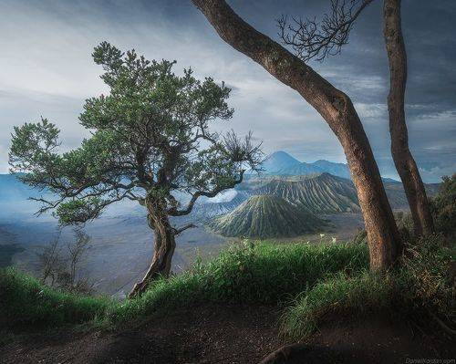 Bromo Indonesia
