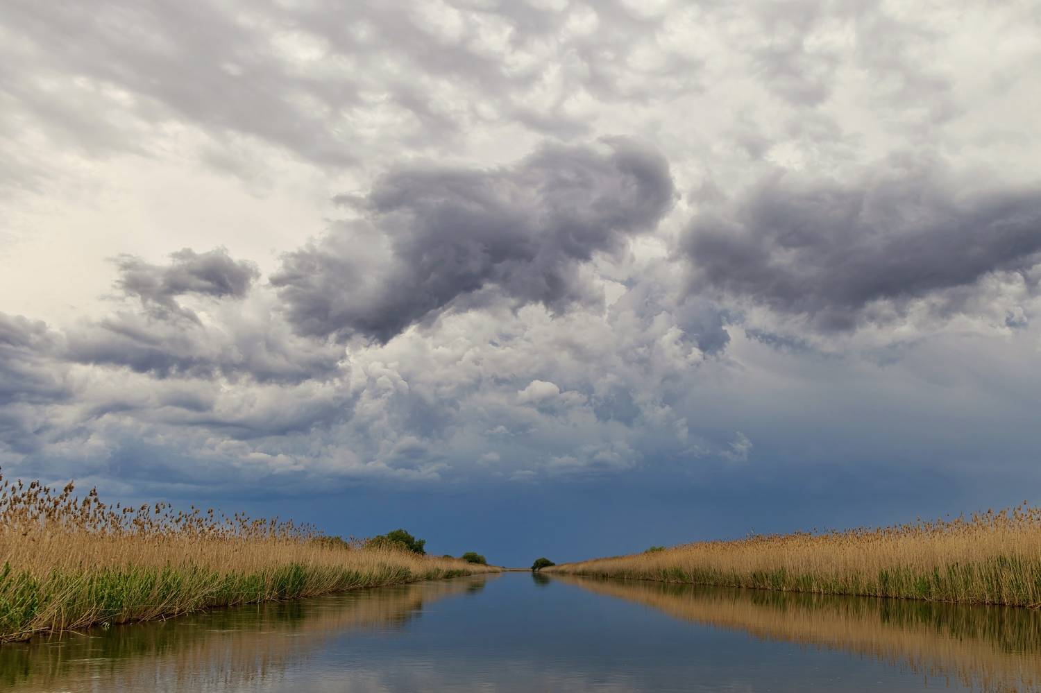 , Александр Шандов