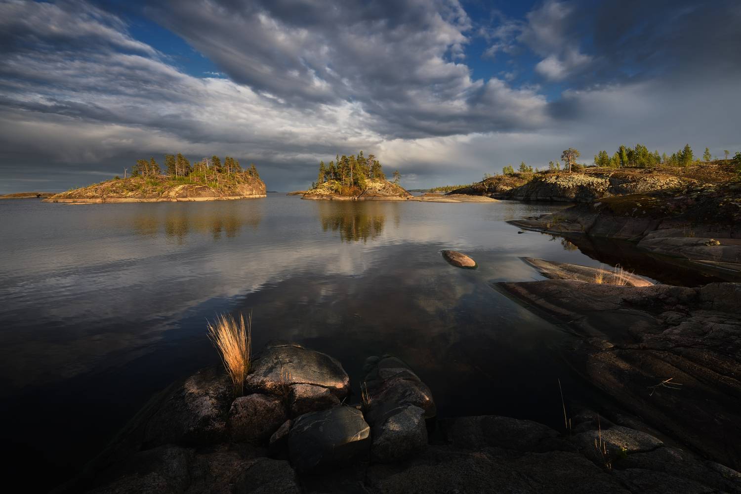 , Максим Евдокимов