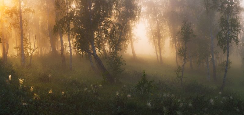 Поймать лето фото превью