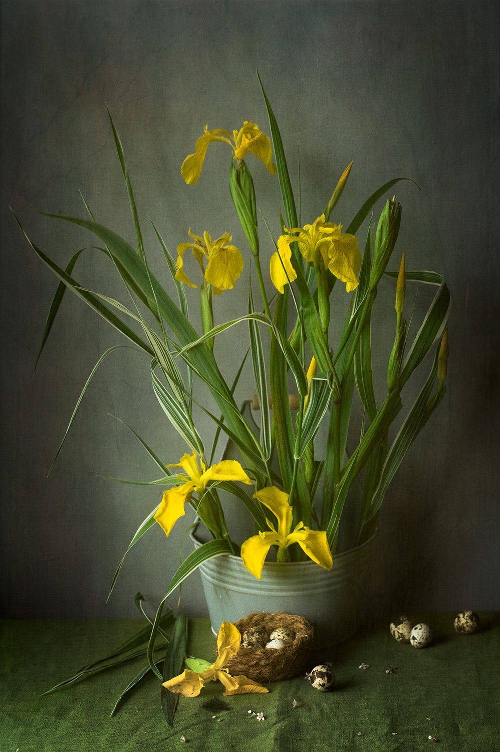 , Рюмина Ляля