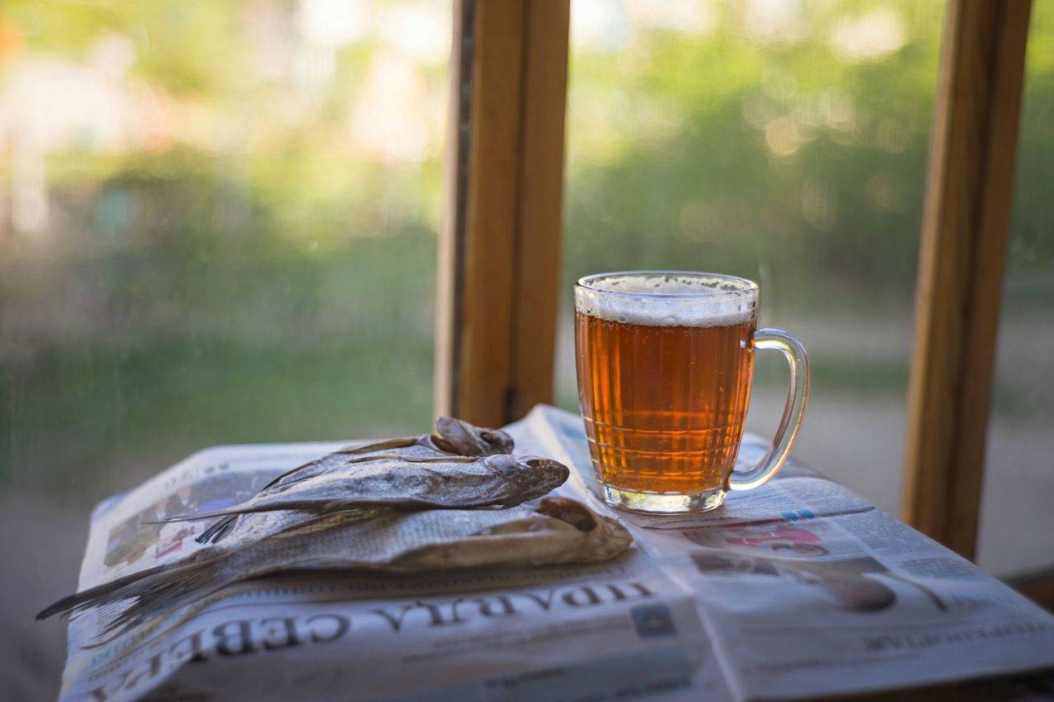 , Дмитрий Цыпляев