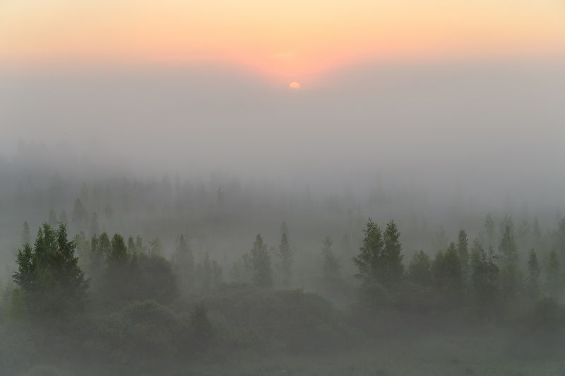 Новый туман фото превью