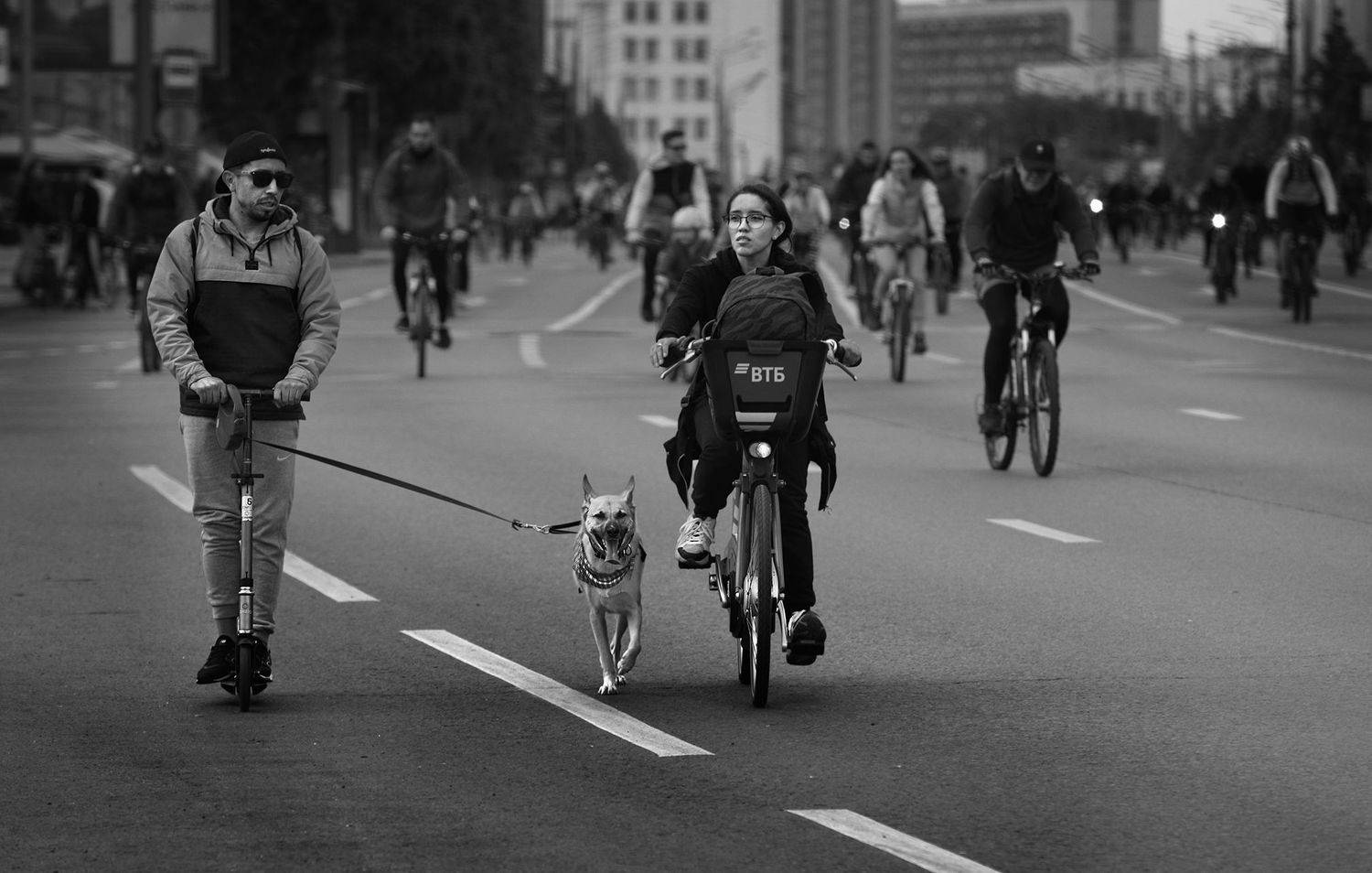 чб фото, уличное фото, спорт, домашние животные, велосипеды, летние развлечения, летний спорт, Vera Trandina