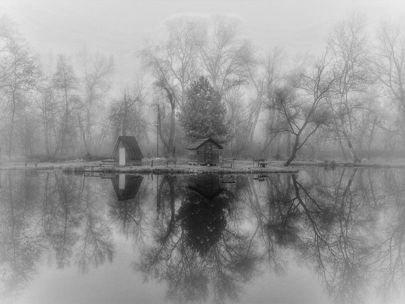 Reflection II фото превью