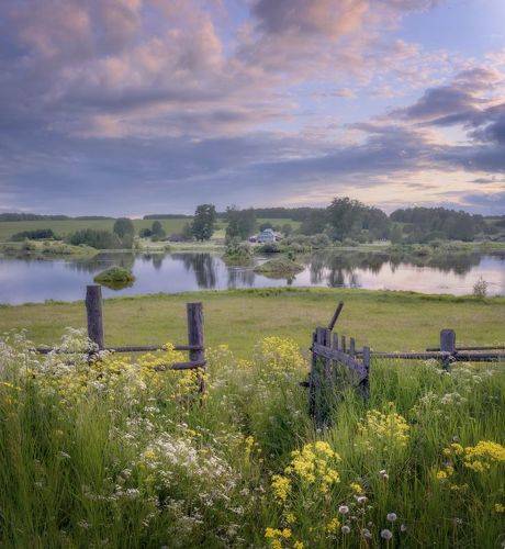 Калитка в лето