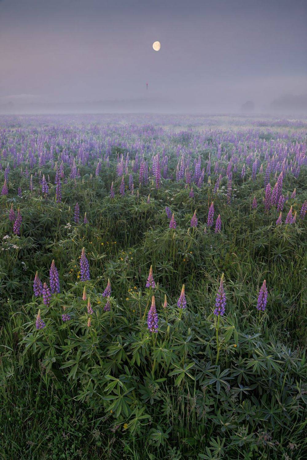 , Евгений Ерохин