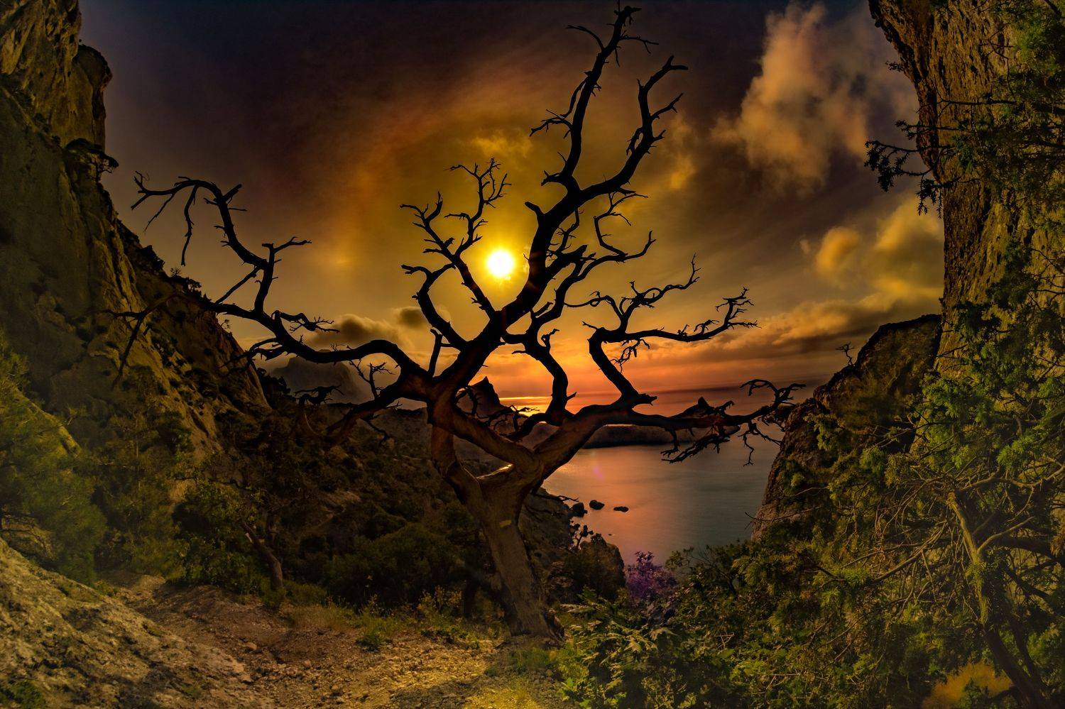 , Разумов Александр