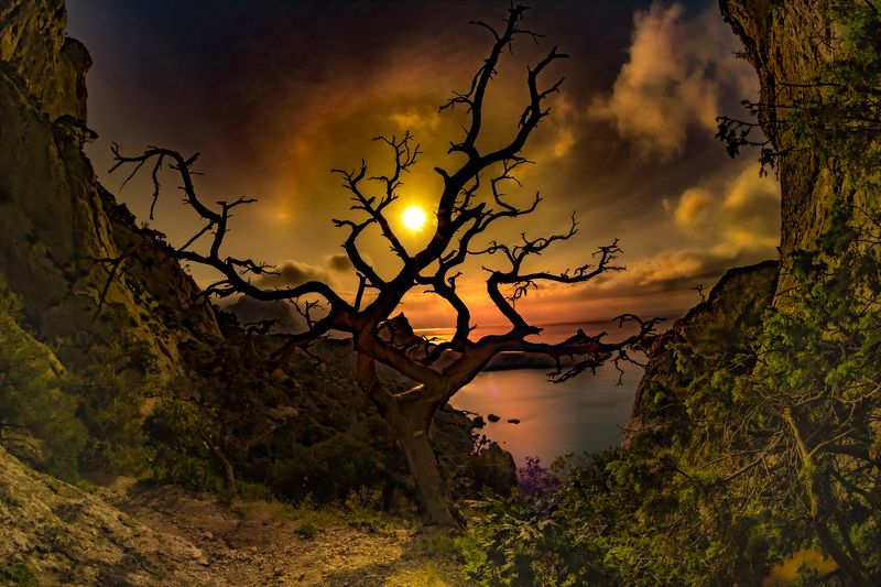 Лунный свет нового света фото превью