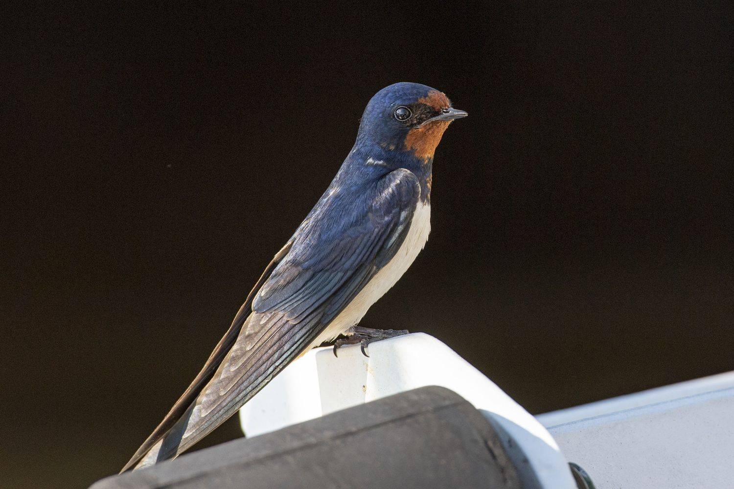 , Кулаков Юрий