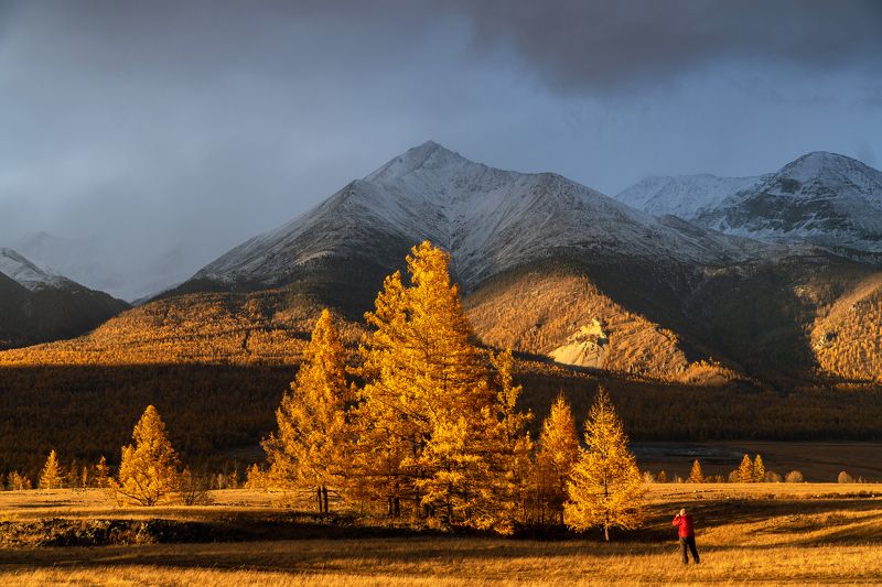 саяны, бурятия, окинский район, осень Осенние Саяны фото превью