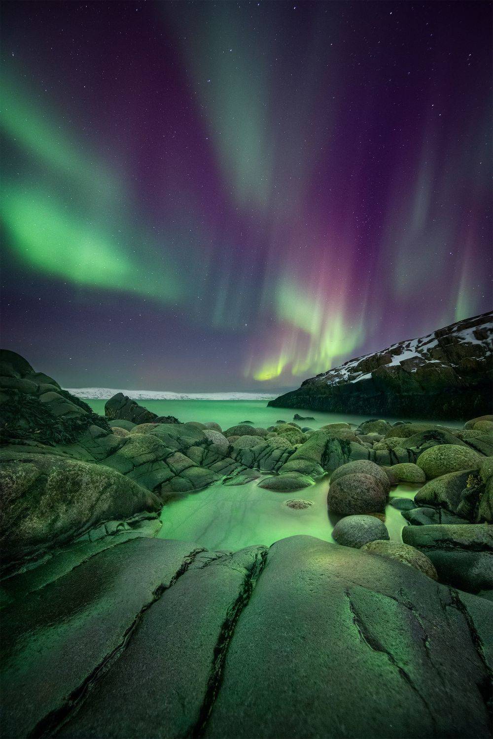 , Елена Ермолина