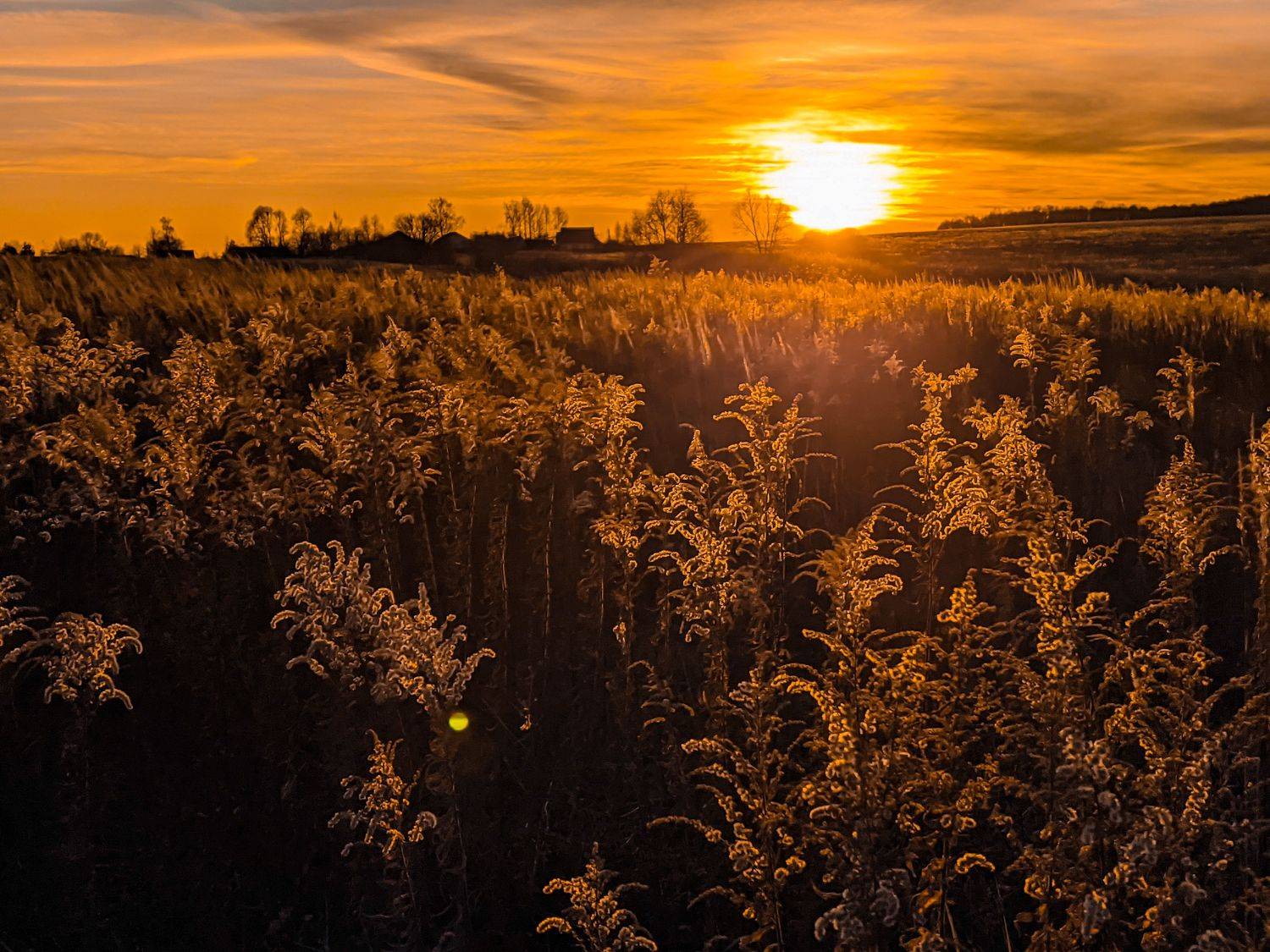 , Светлана Кондрашова