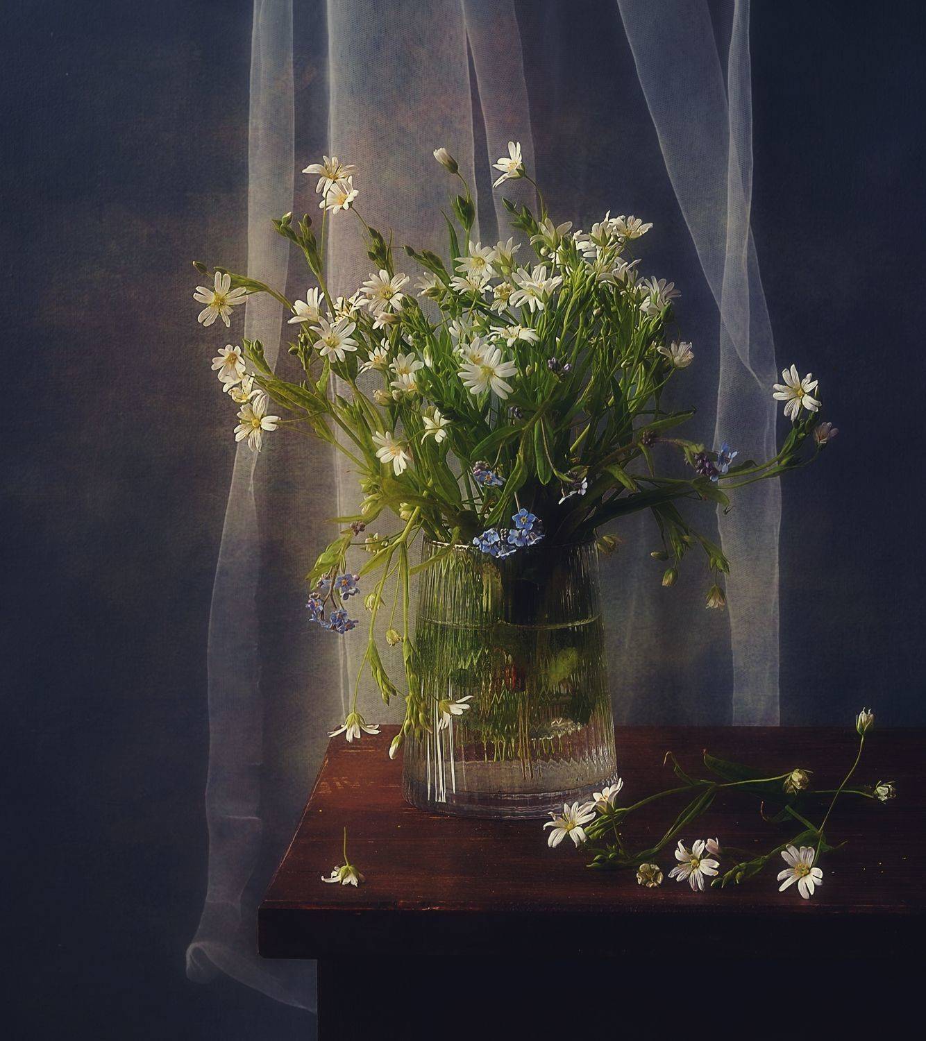 натюрморт,цветы,букет,лето,звездчатка, Наталия К