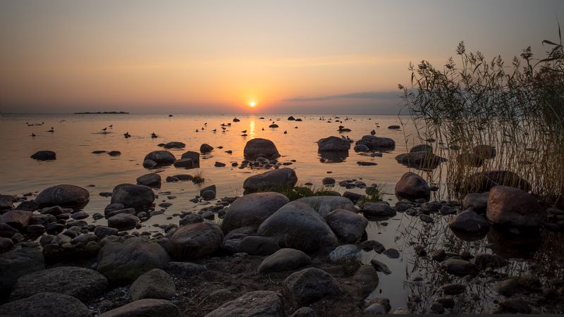 *** фото превью