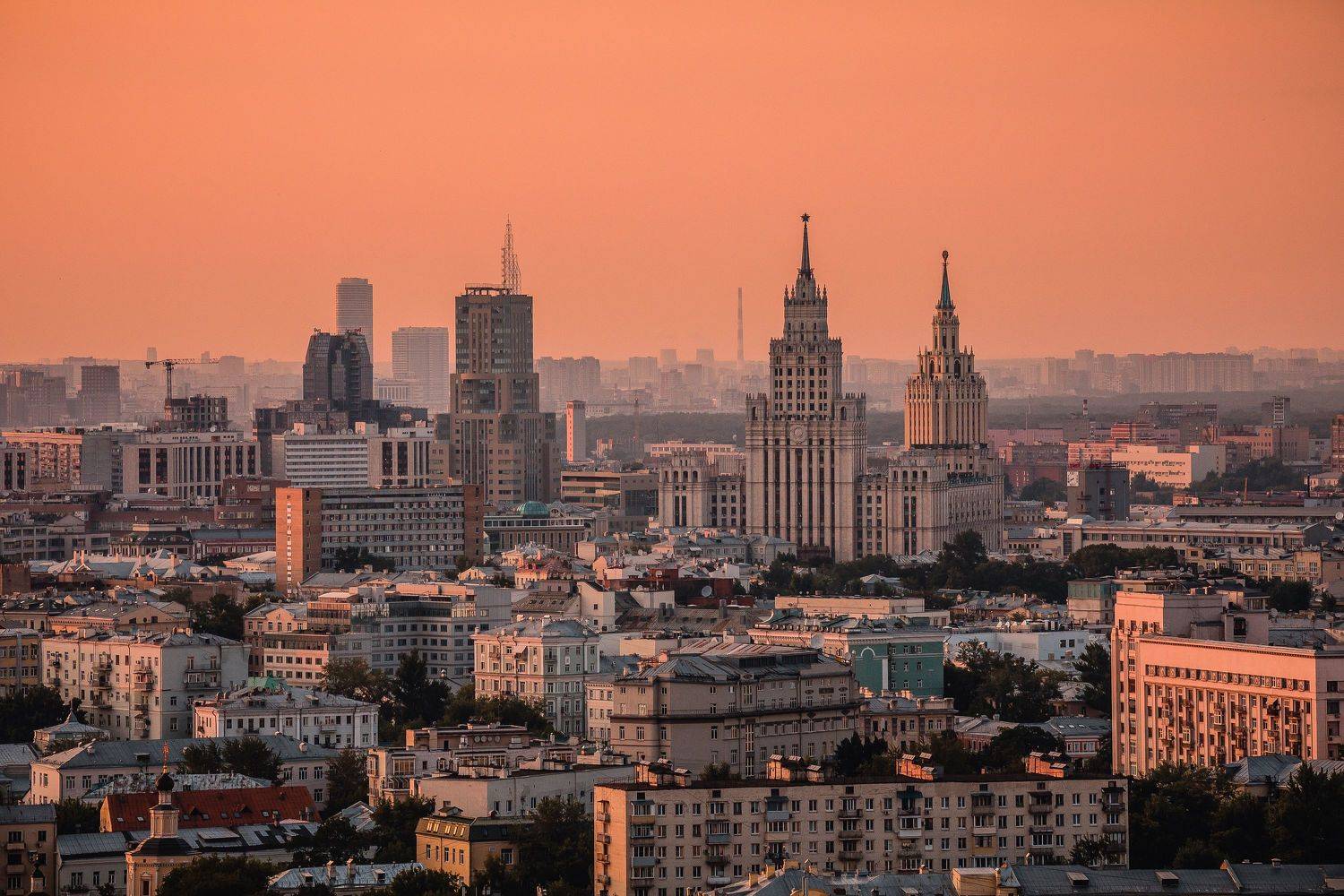 , Трепольский Дмитрий