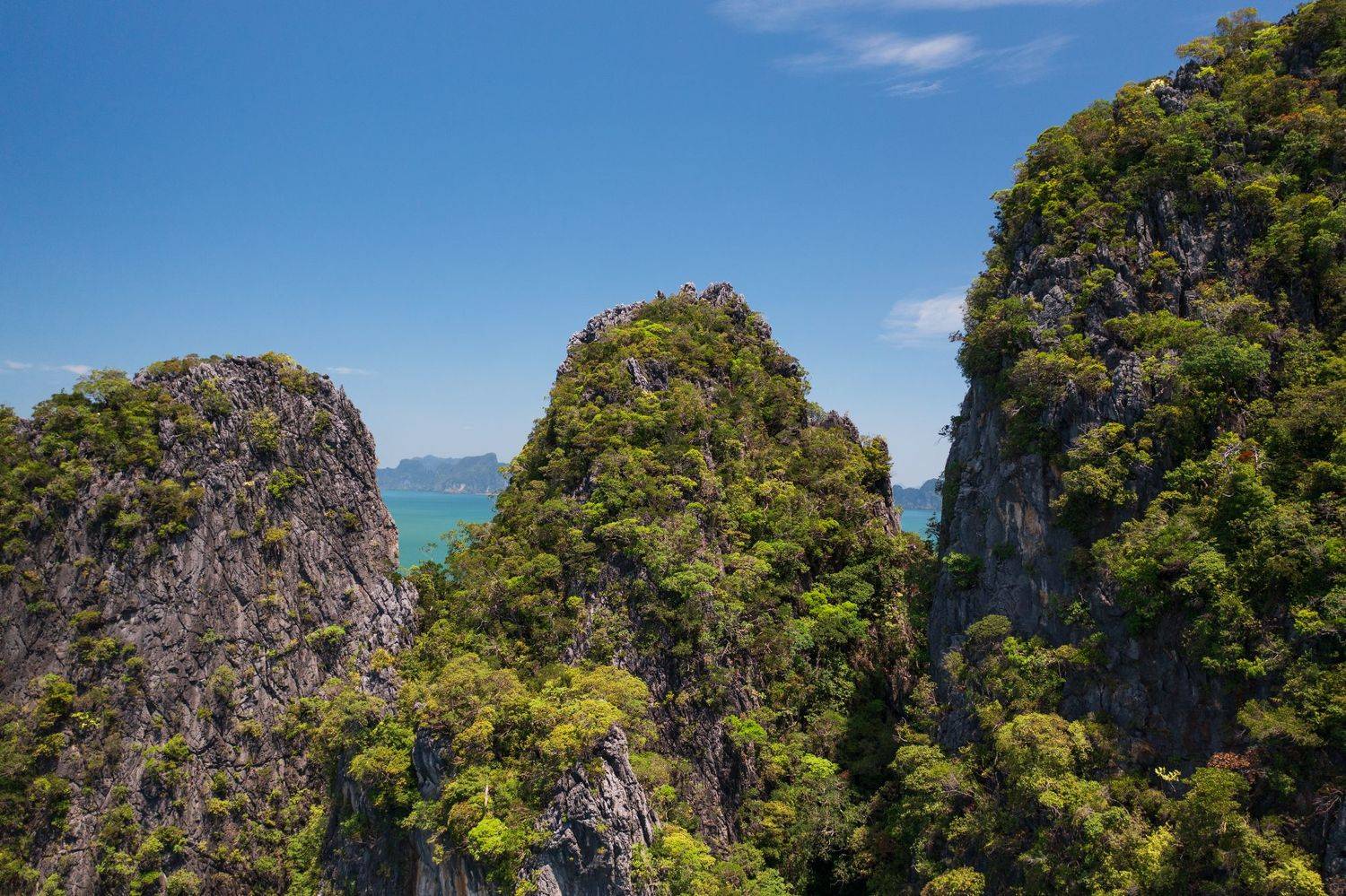sea, green, island, jungle, ship, ocean, golf, bird's, view, aerial, high, uninhabited, desert, Druz Denys