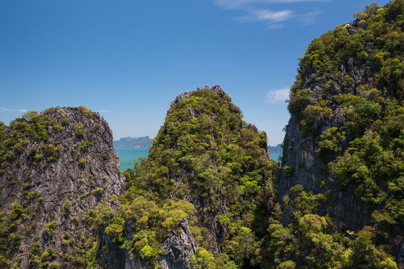 sea, green, island, jungle, ship, ocean, golf, bird\'s, view, aerial, high, uninhabited, desert Flying fox фото превью