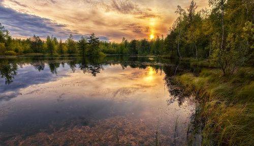 Пламя заката