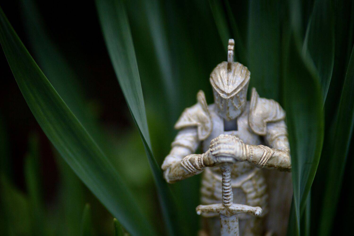 , Сергей Фаренюк