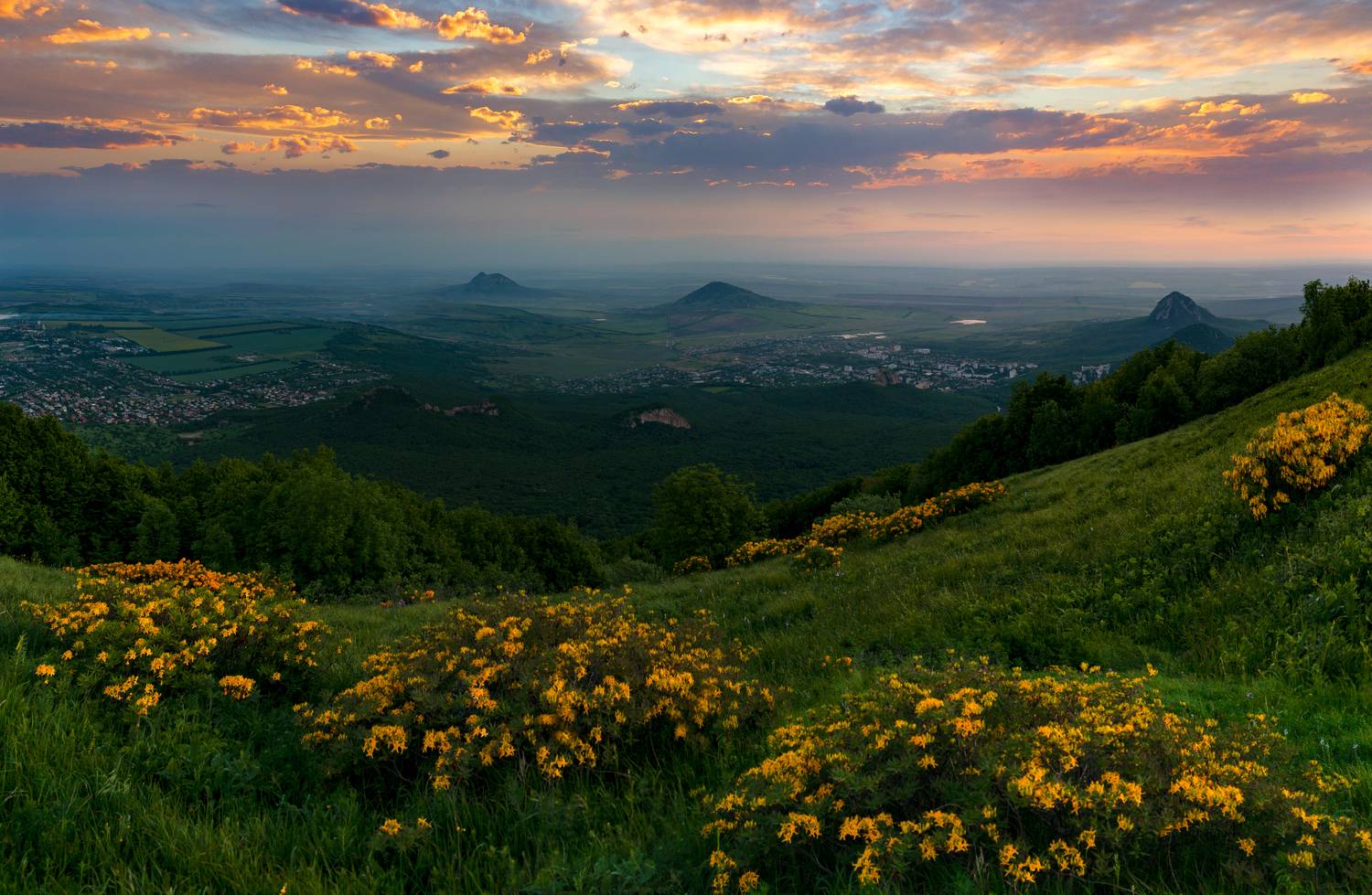 бештау, рассвет, азалия понтийская, природа, кмв,пейзаж,панорама, Елена Брежицкая