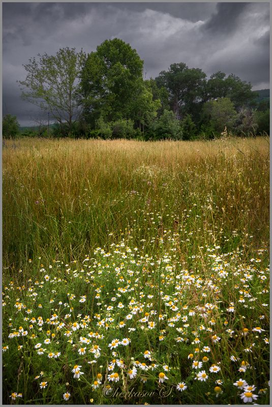 крым, инкерман,  фото превью