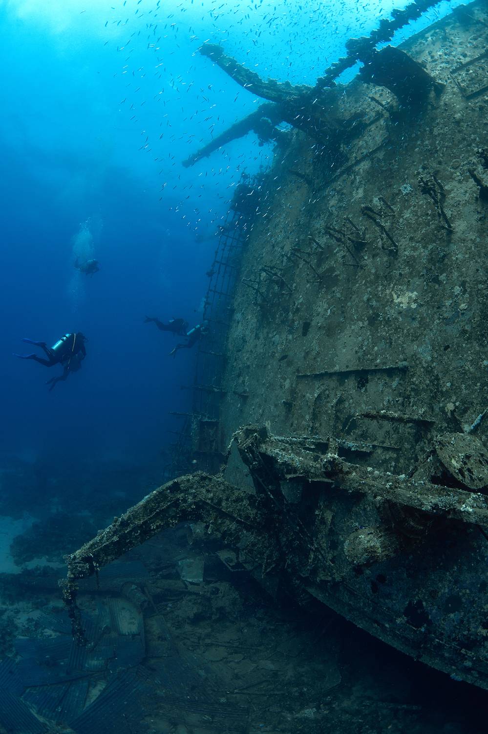 рэк, салем экспресс, дайвинг, красное море, PAVEL PEREPECHAEV
