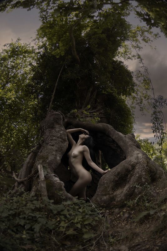 The womb фото превью