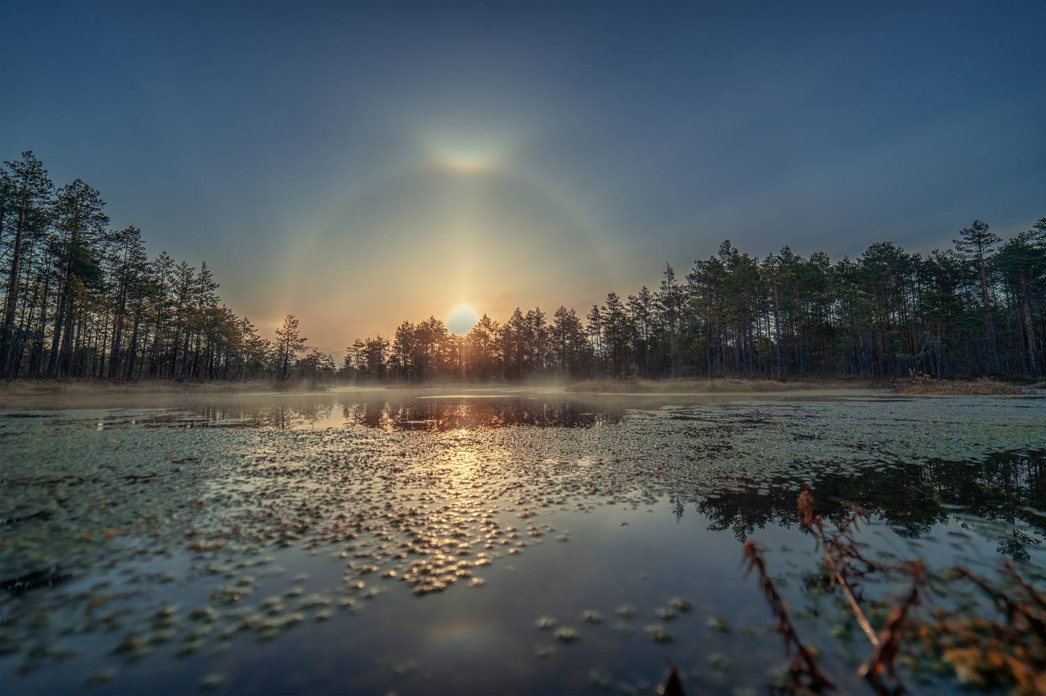 , Третьякова Анастасия