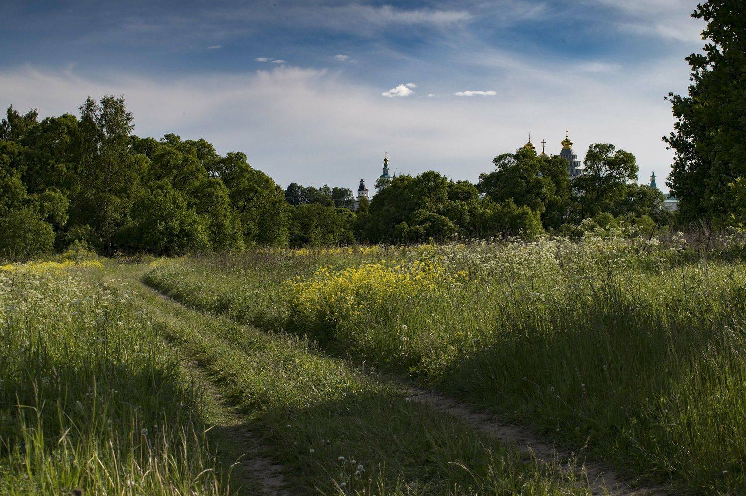 , Павел Ныриков