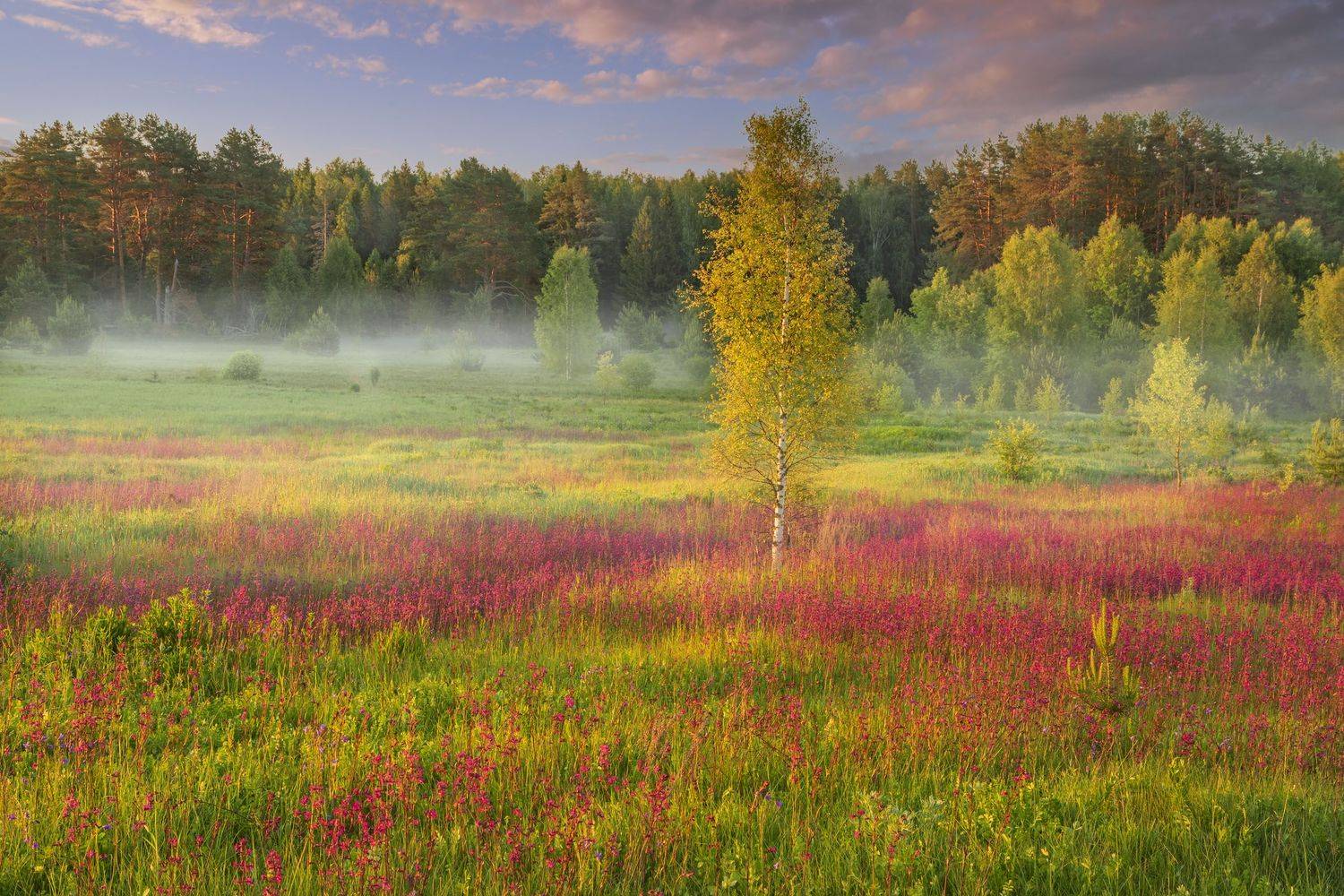 #topnature #russpasibo #magic_shots #lovelyRussia #sunset_vision #exclusive_sky  #exclusive_shots #loves_russia2 #photoarena_nature #nature_sultans #nature_perfection #rsa_sky #rsa_sunset #photorussia #rsa_naturepics #sunsetsRussia #landscape_Russia #love, Владимир Рябков