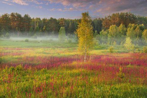 На Большой Серге. 