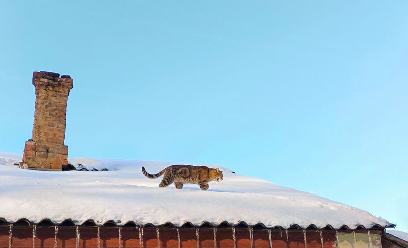 Март фото превью