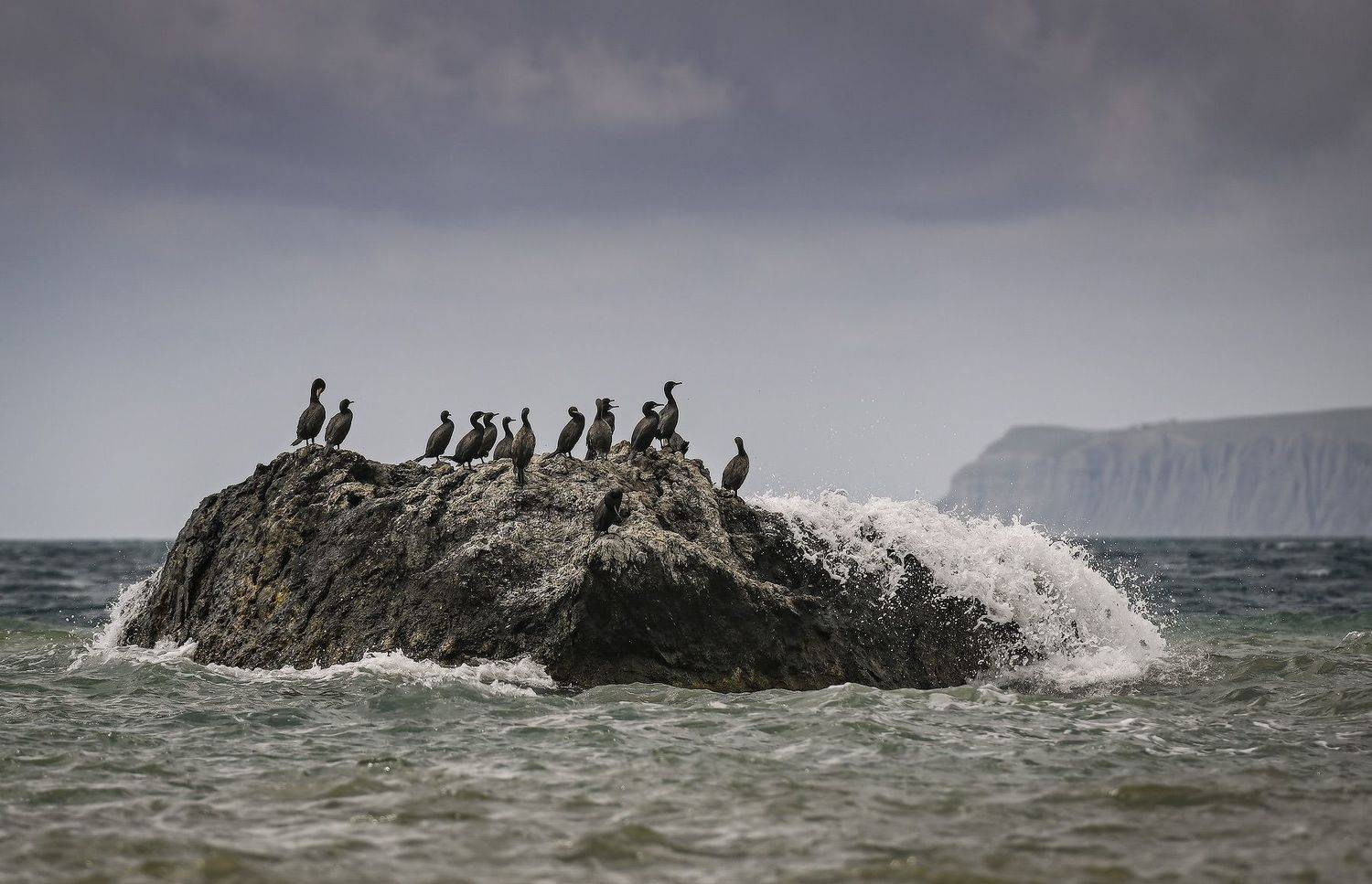 , Пирог Борис
