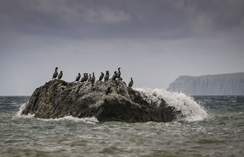 ,,, фото превью